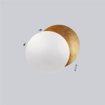 White/Gold