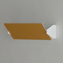 Yellow/White